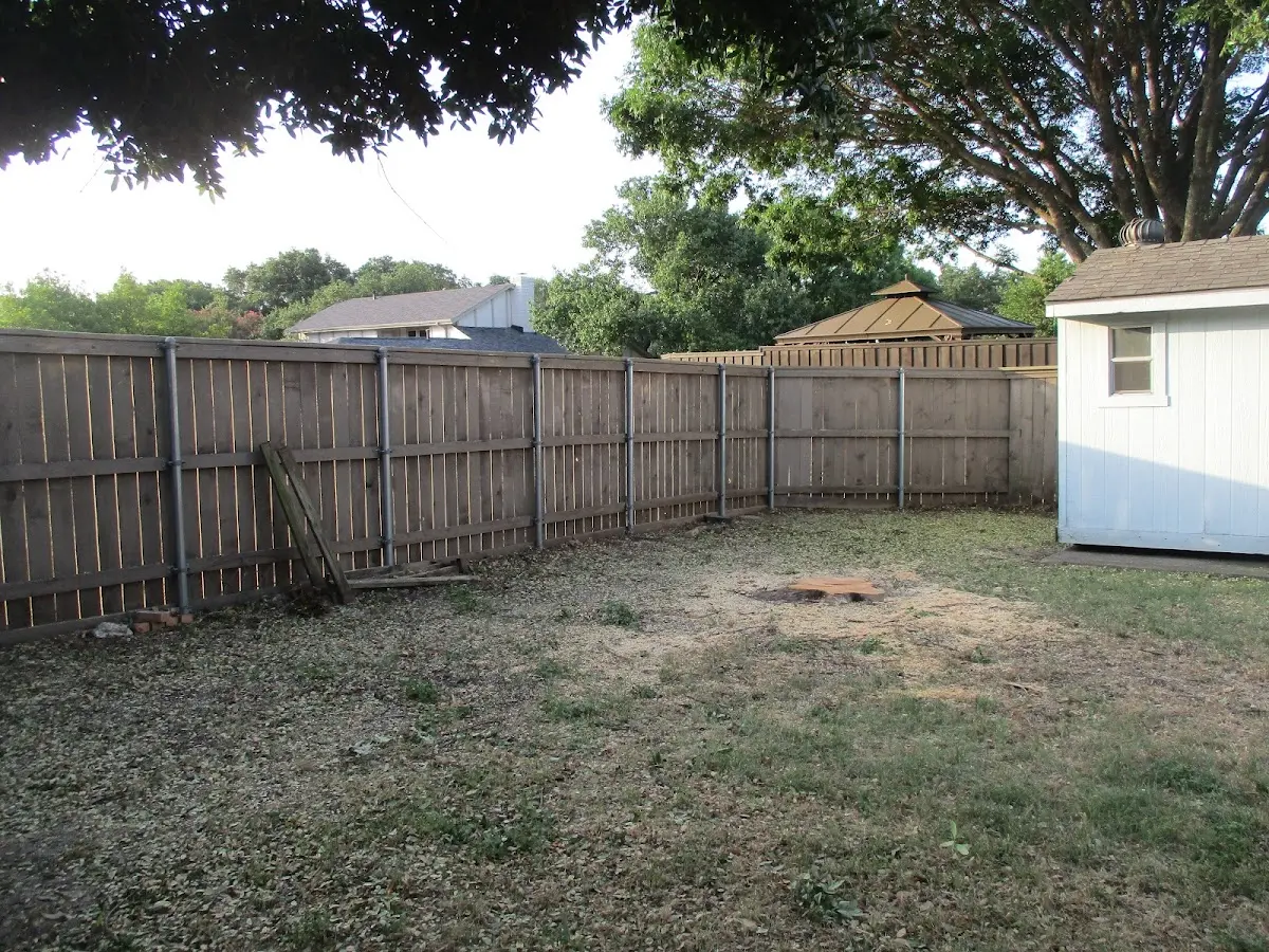 Cleared yard after professional tree removal in Hollis